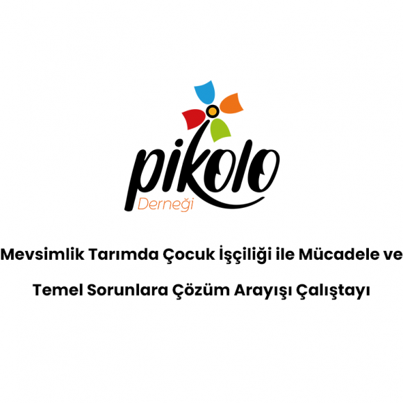 Mevsimlik Tarımda Çocuk İşçiliği ile Mücadele ve Temel Sorunlara Çözüm Arayışı Çalıştayı