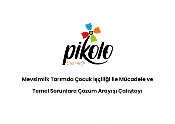 Mevsimlik Tarımda Çocuk İşçiliği ile Mücadele ve Temel Sorunlara Çözüm Arayışı Çalıştayı